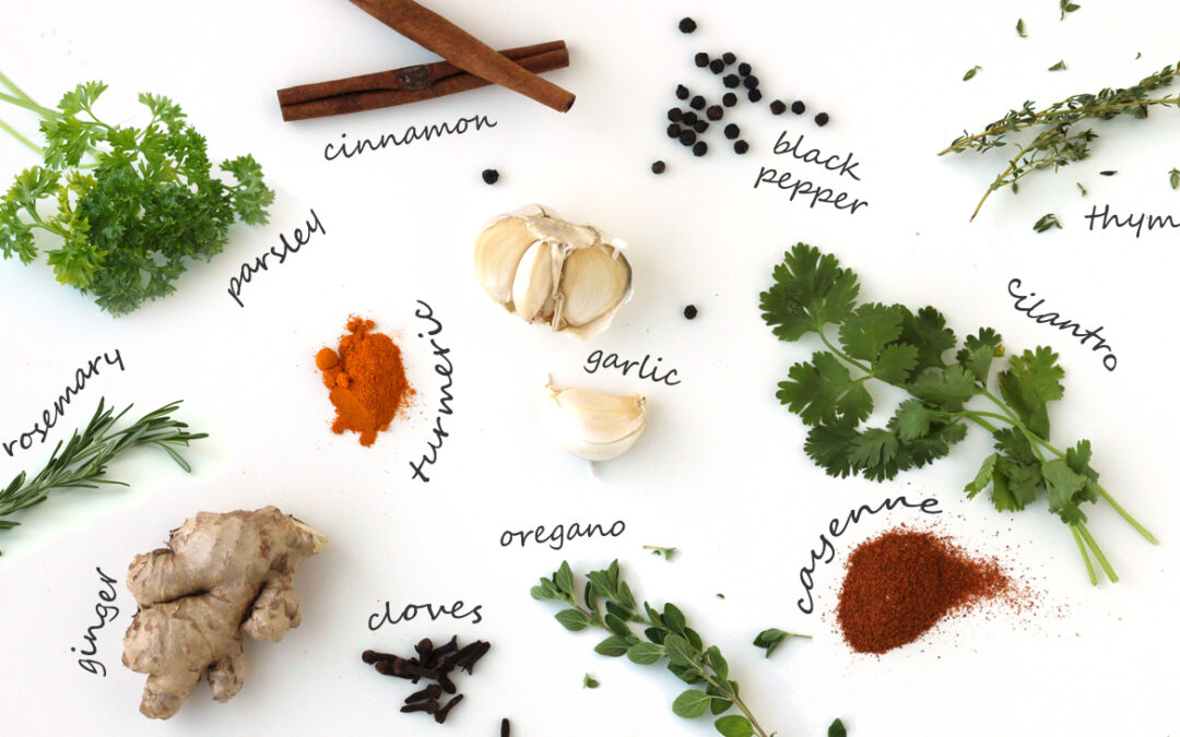 Erbe, spezie ed insaporitori