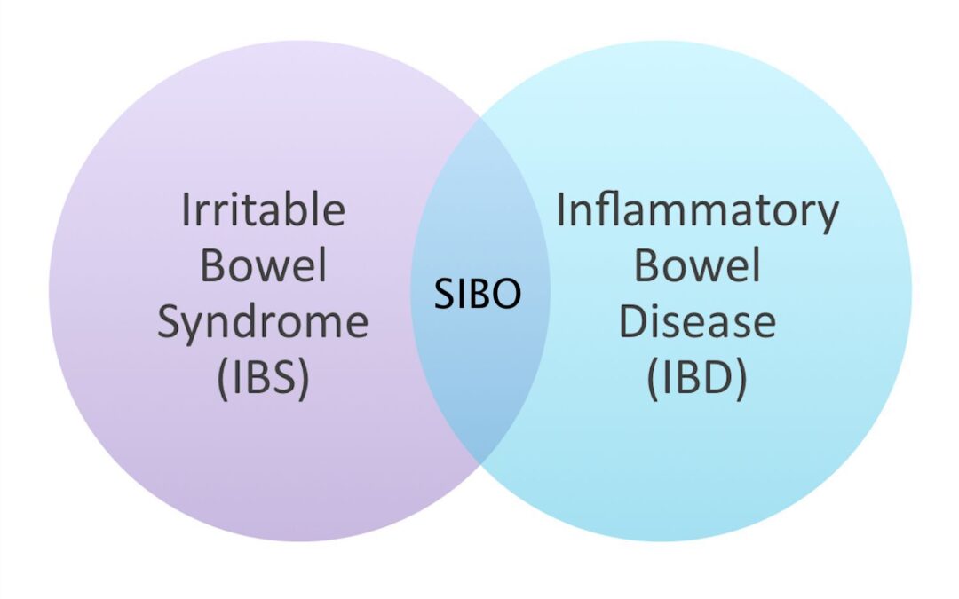 IBD IBS e SIBO