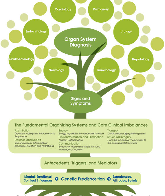 Conosci le cause, trovi soluzioni