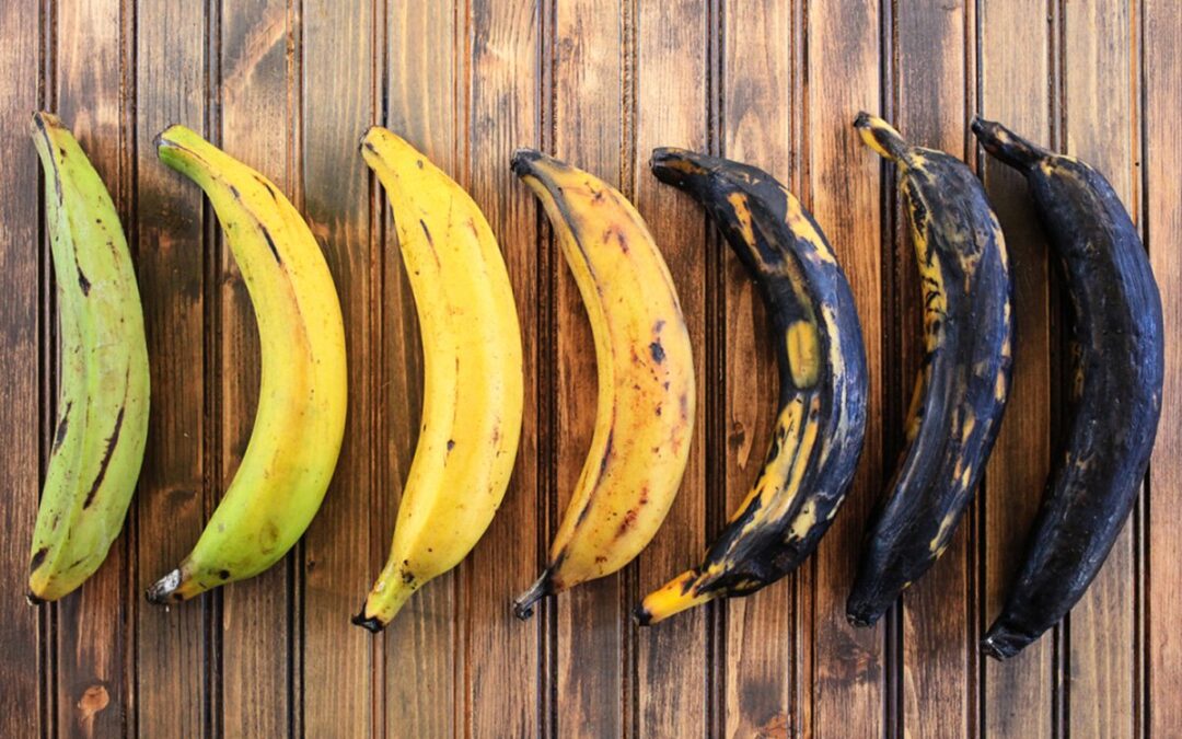 Il platano e le sue caratteristiche