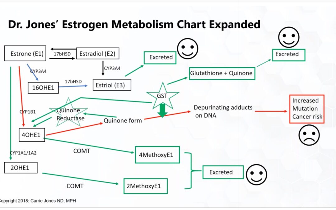 Metabolismo degli estrogeni