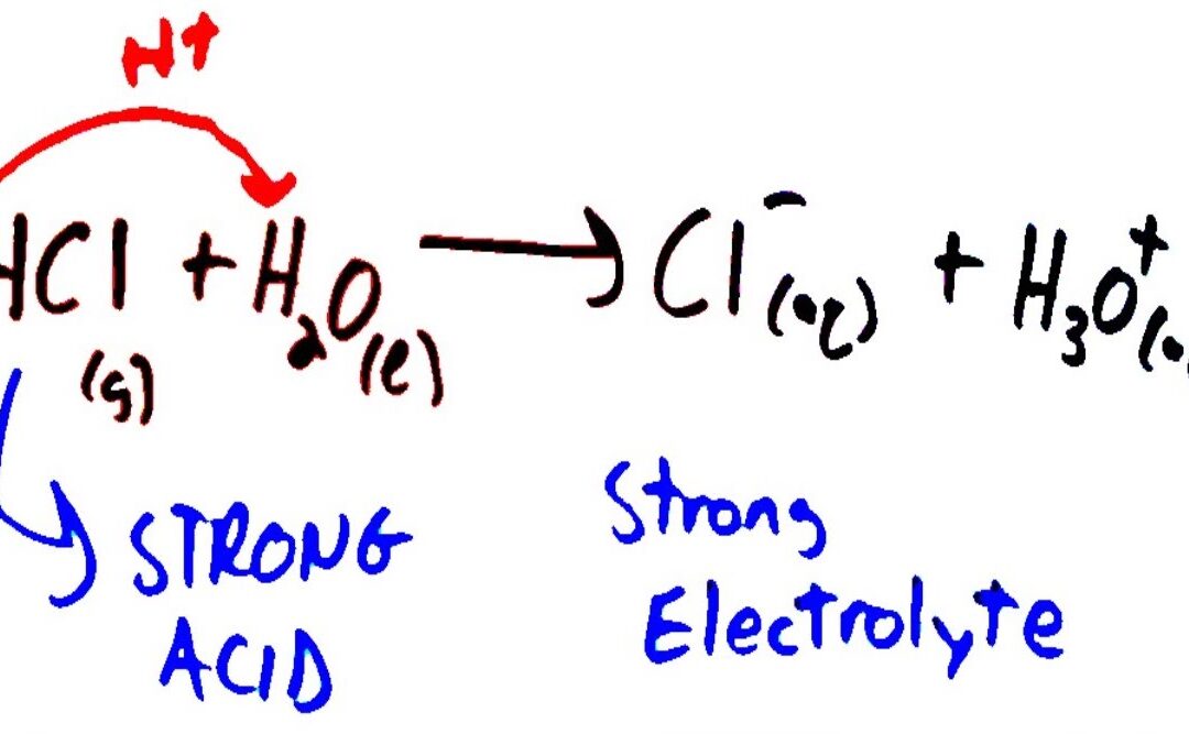 ELETTROLITI – OLTRE L’IDRATAZIONE