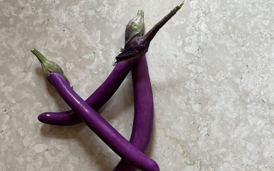 MELANZANE – EGGPLANTS